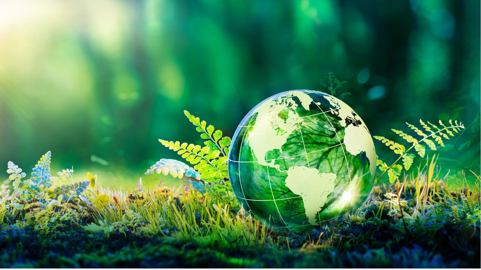 Glass globe in green forest representing sustainable living and environmental protection